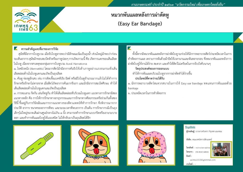 หมวกพันแผลหลังการผ่าตัดหู (Easy Ear Bandage)