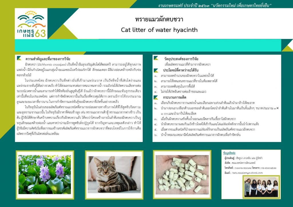 ทรายแมวผักตบชวา (Cat litter of water hyacinth)